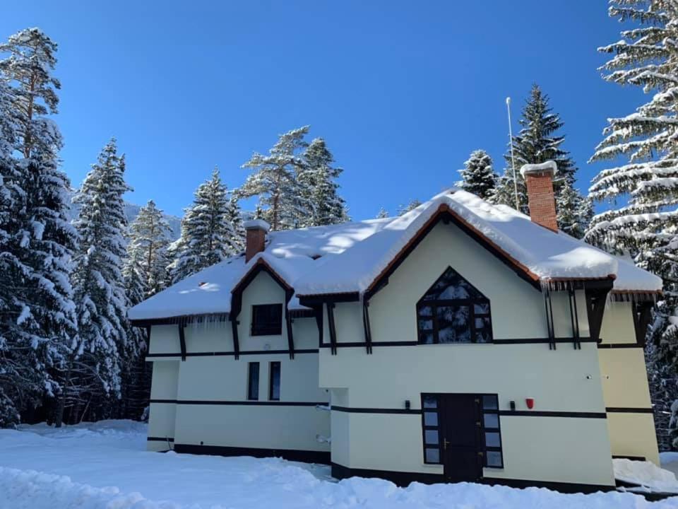 Berghof Eva - Hotel Paničišče Exteriér fotografie