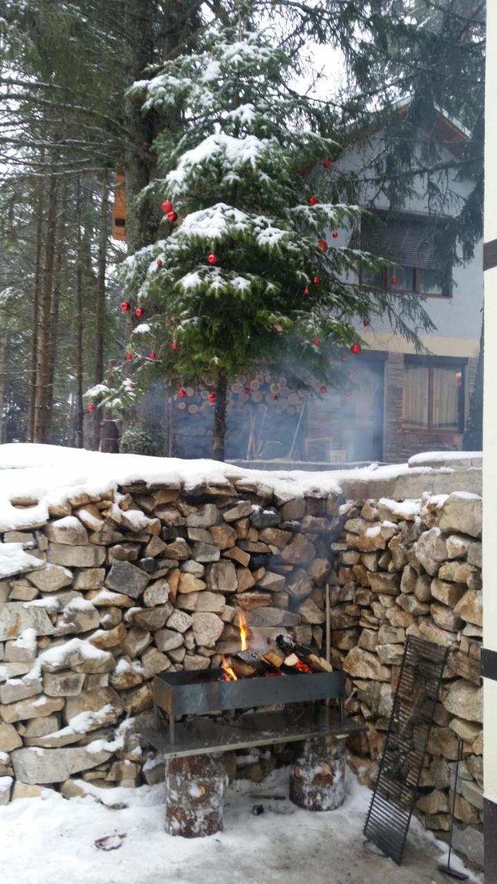 Berghof Eva - Hotel Paničišče Exteriér fotografie